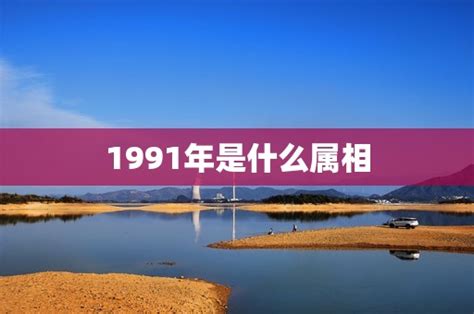 1991年是什么年